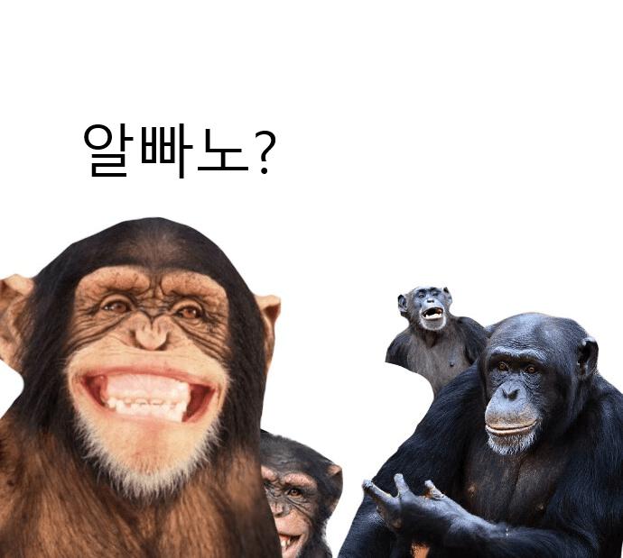 16강 진출 