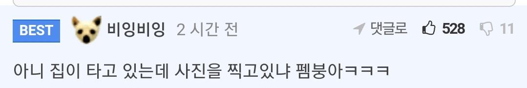 집에 불날뻔한 펨붕이.jpg