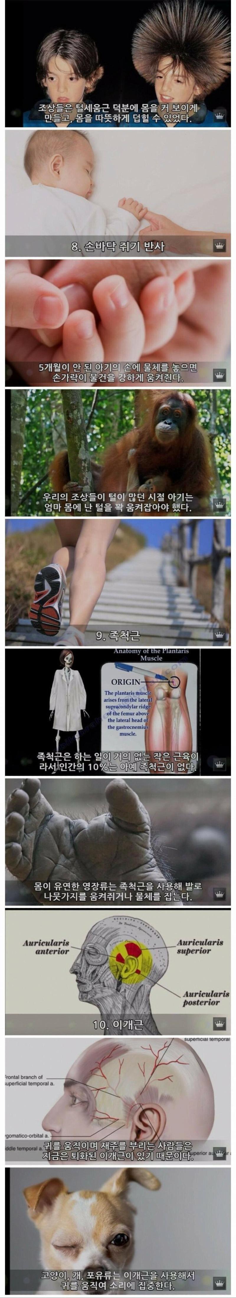 인류의 몸에 남은 10가지 진화의 흔적들