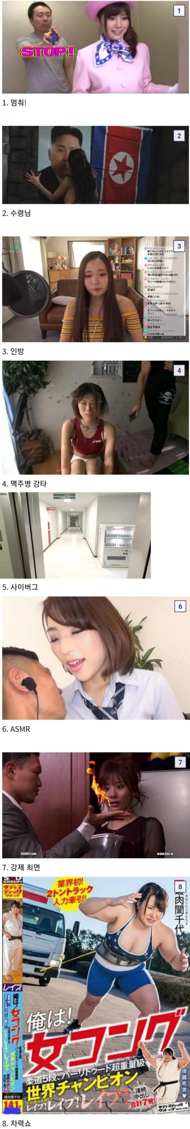 AV컨셉 근황
