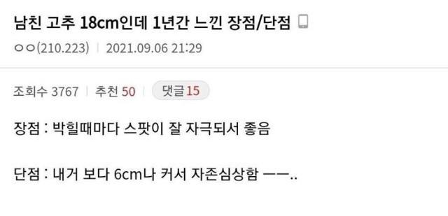 18cm 남자친구 후기