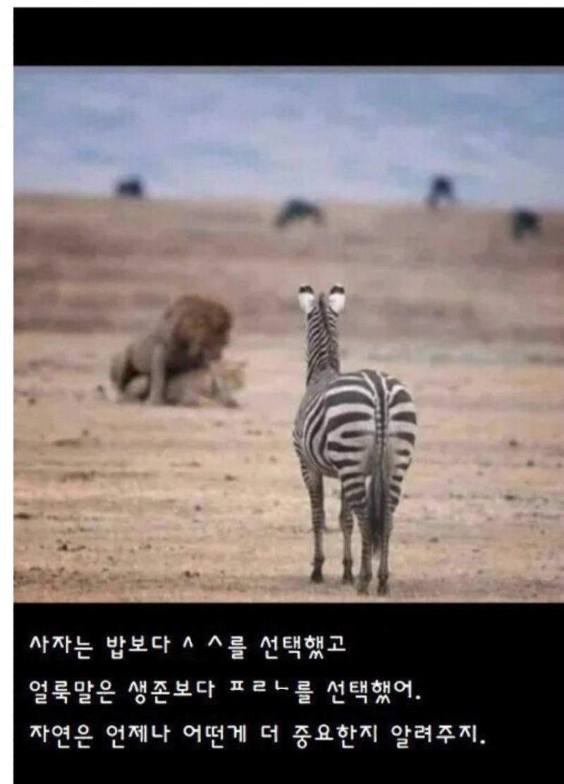 3대욕구중 성욕이 쎈이유