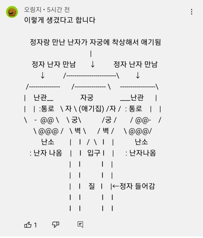 유튜브 댓글로 알아보는 여성 성기 구조