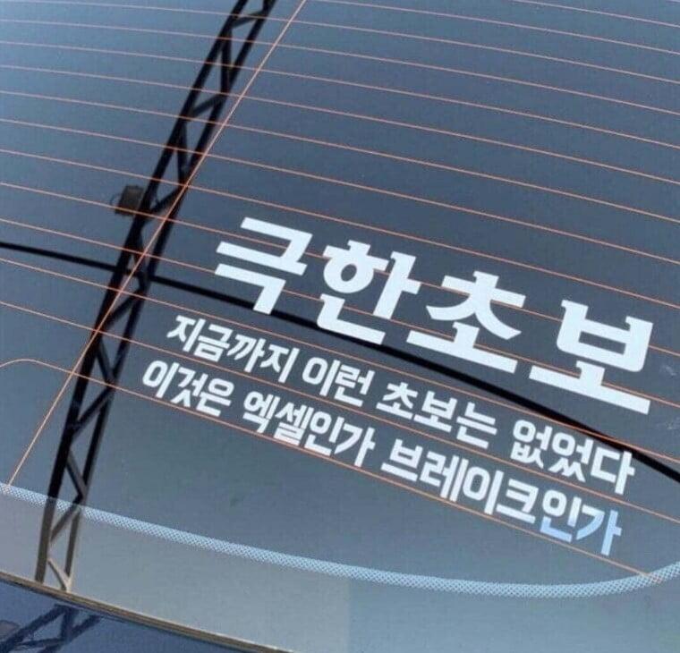 지금까지 이런 초보는 없었다