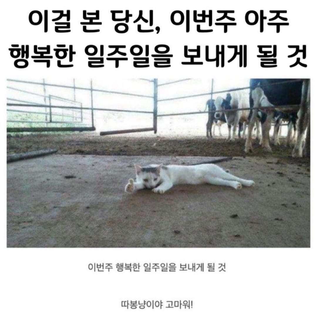 요즘 여대생들 노출수준