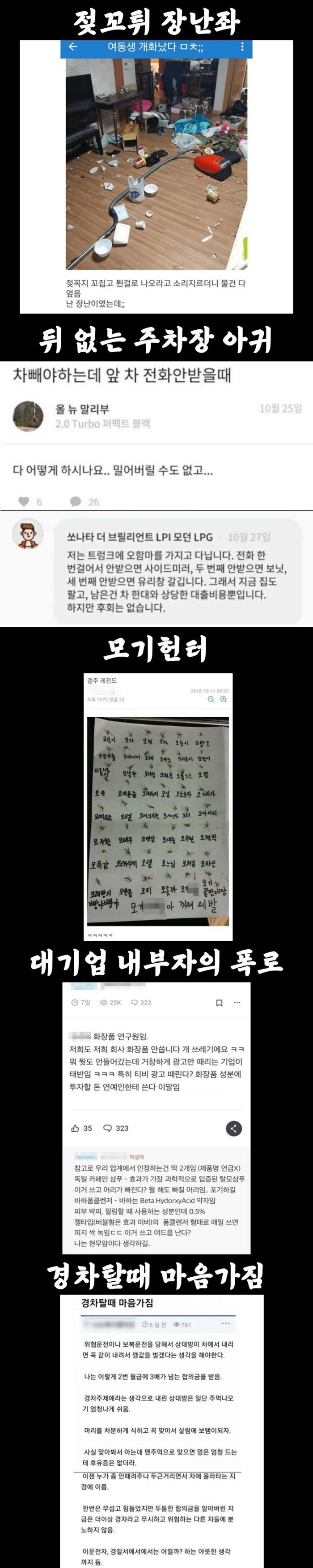 찐광기 레전드 모음(펌)