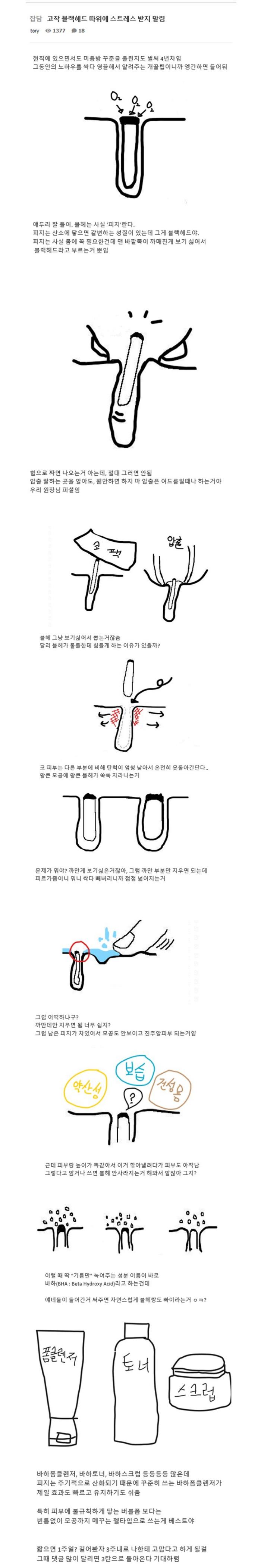 블랙헤드가 생기는 진짜 이유(펌)