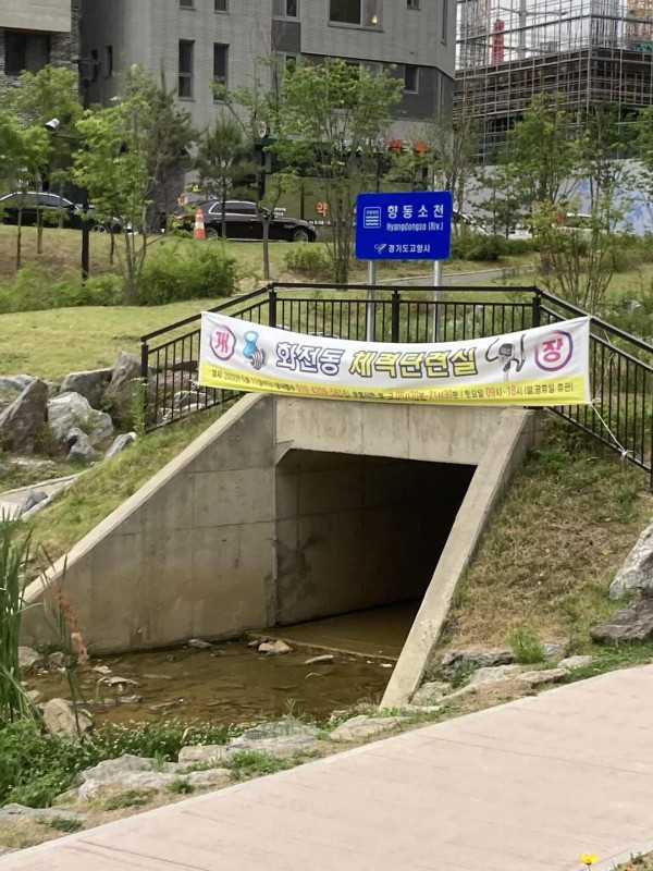 요즘 인스타 감성 헬스장