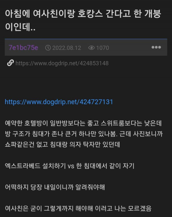 여사친과 호캉스를 다녀온 개붕이