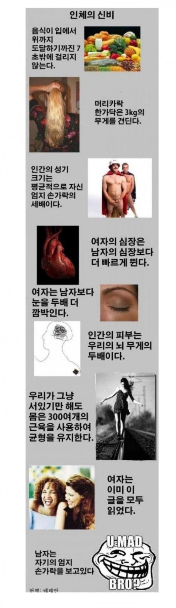 인체의 신비