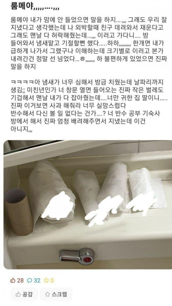 룸메이트