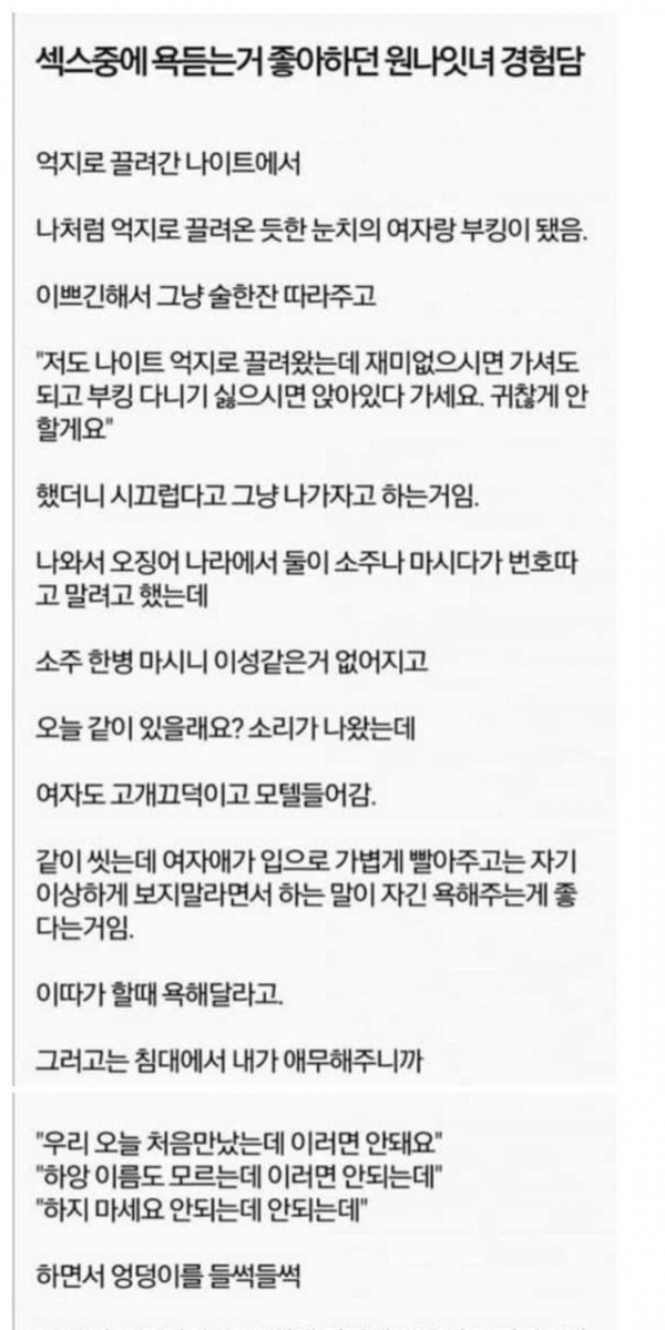 ㅅㅅ 중에 욕듣는거 좋다는 원나잇녀