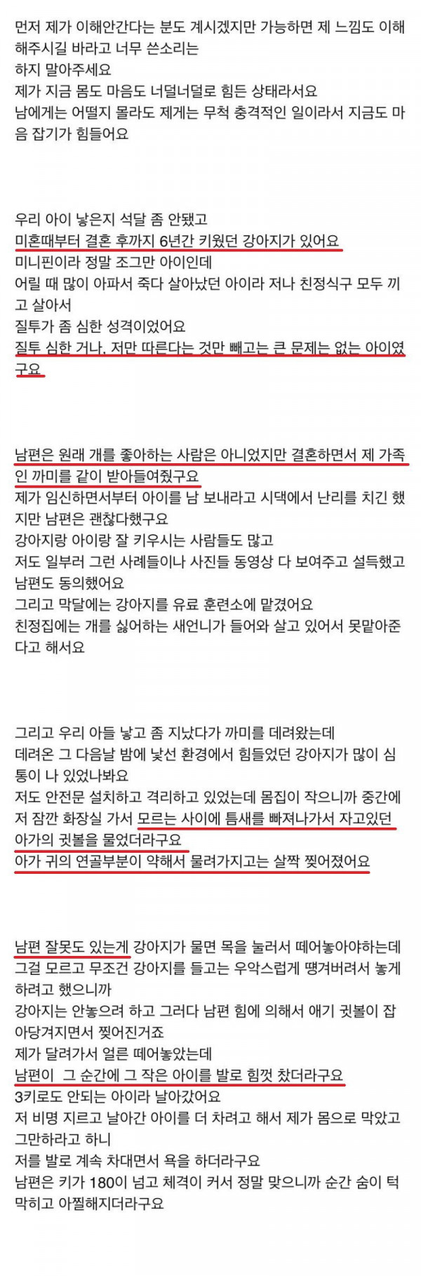 강아지 때문에 이혼 위기인 부부