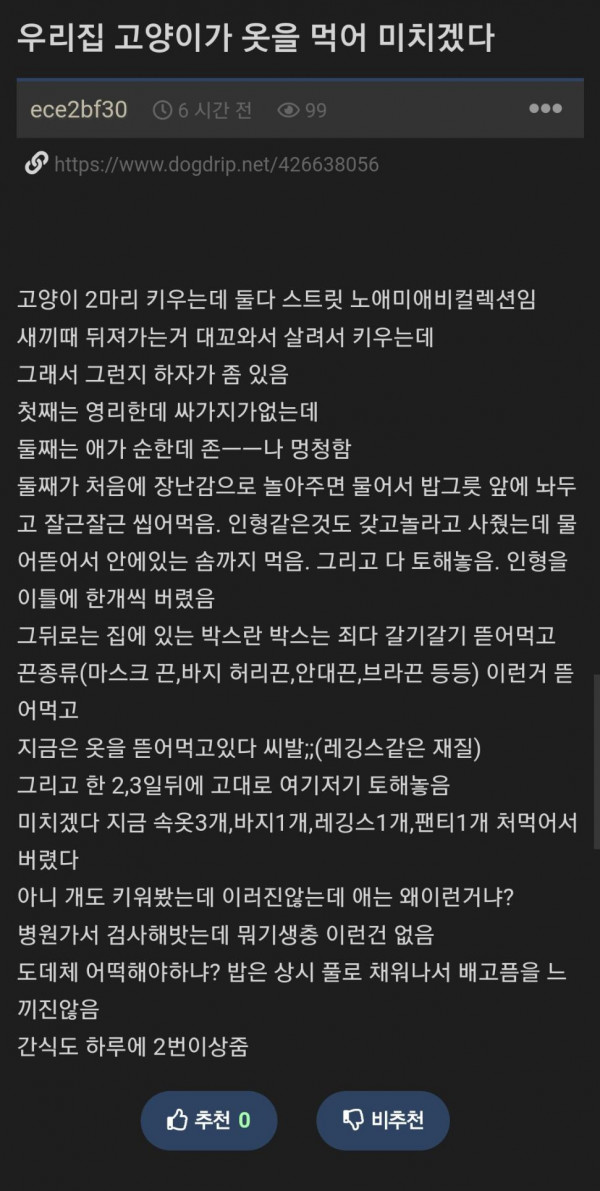나도 니 브라 먹을래.jpg