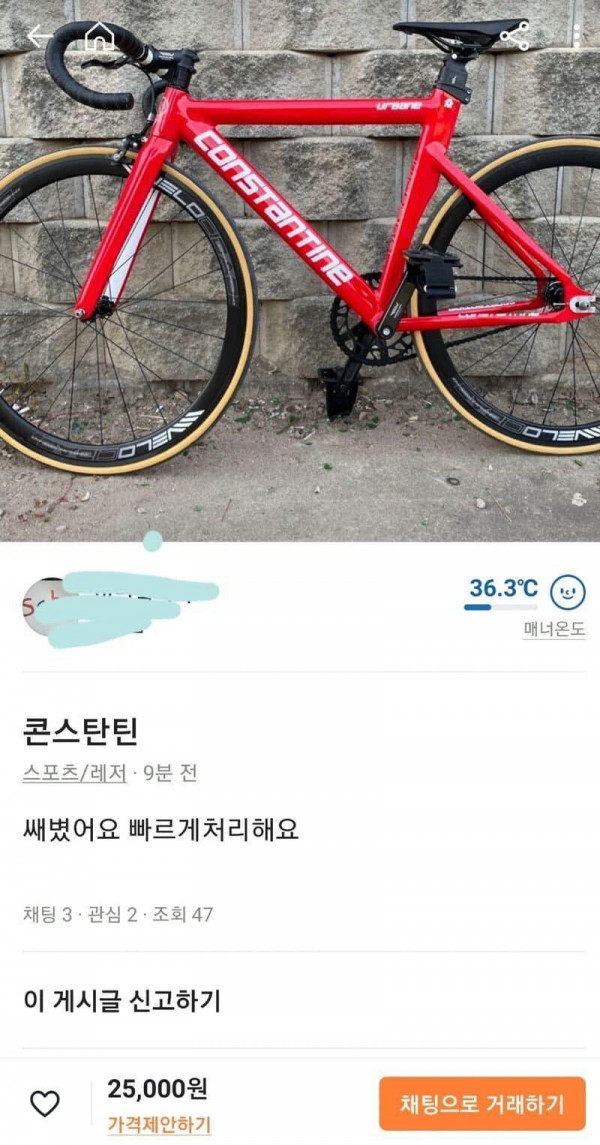 어질어질 당근마켓 근황
