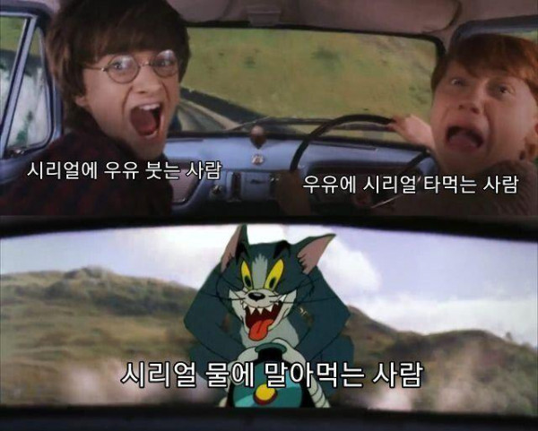 정말 보기 힘들다는 