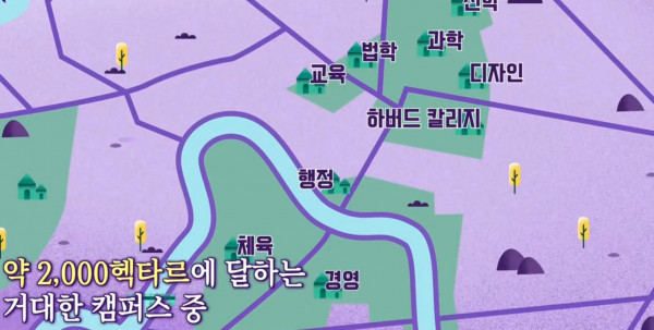 하버드 대학교 면적