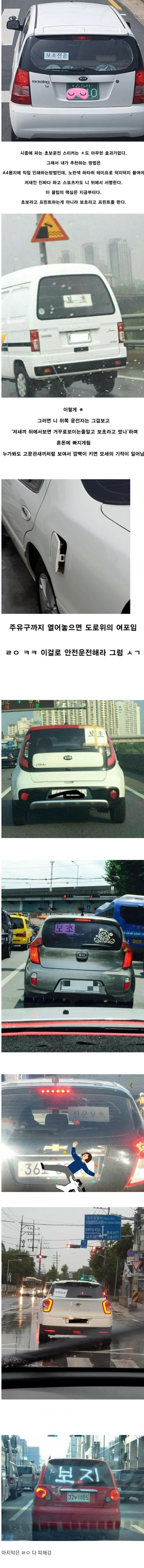 전운보초 모음집.jpg