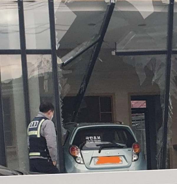 지금까지 이런 초보는 없었다