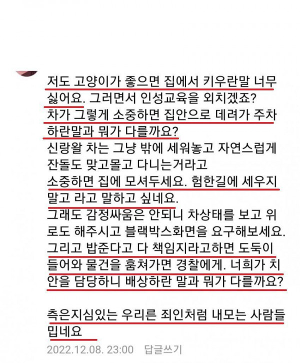 차주들에게 일침놓는 캣맘