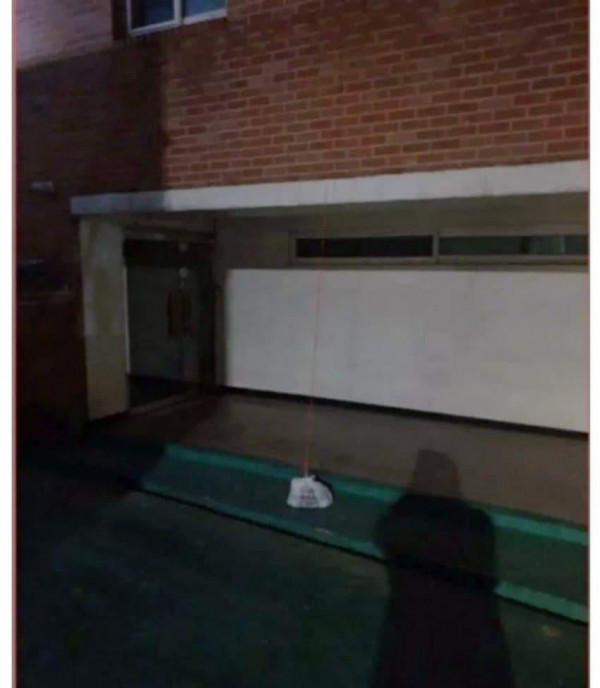 라푼젤