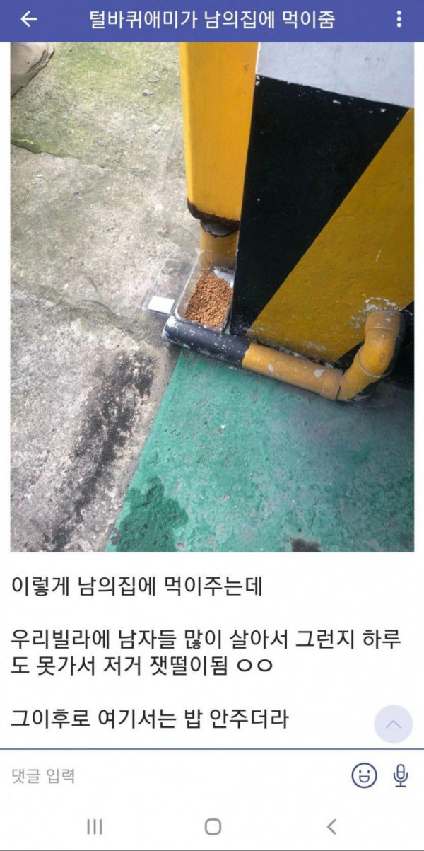 캣맘의 극하드 카운터