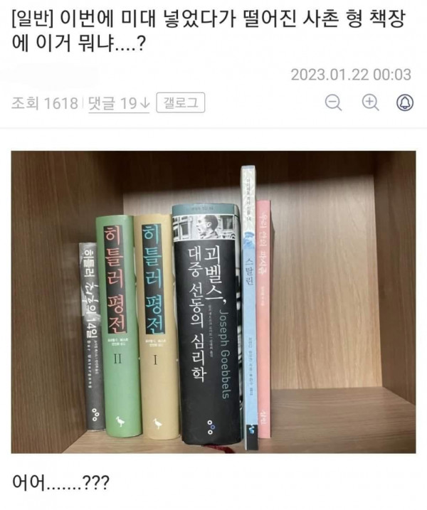 미대 떨어진 사촌.jpg