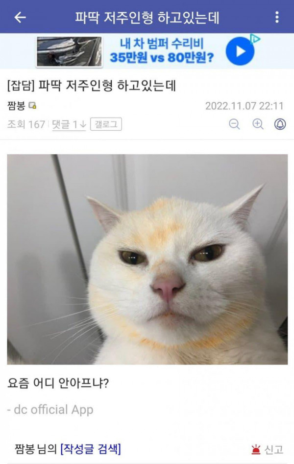 파딱새끼 다치라고 저주인형 샀음