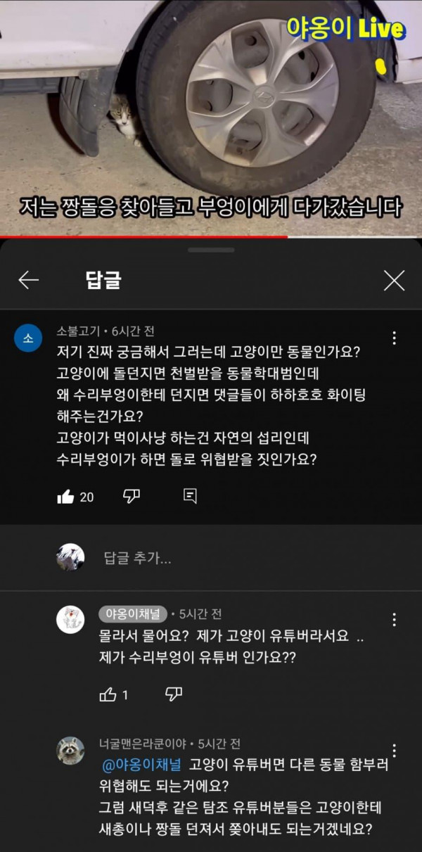 캣대디면 해도 되는 행위