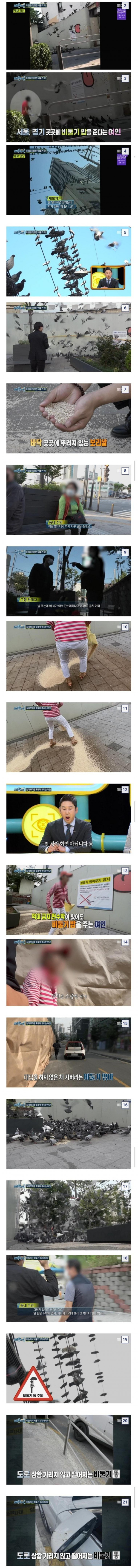 캣맘이 선녀로 보임.jpg