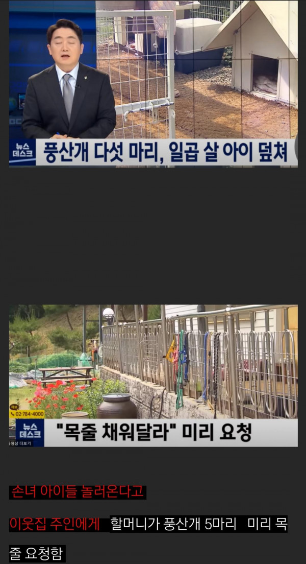 풍산개 다섯 마리에게 물려 중상입은 7세 여아