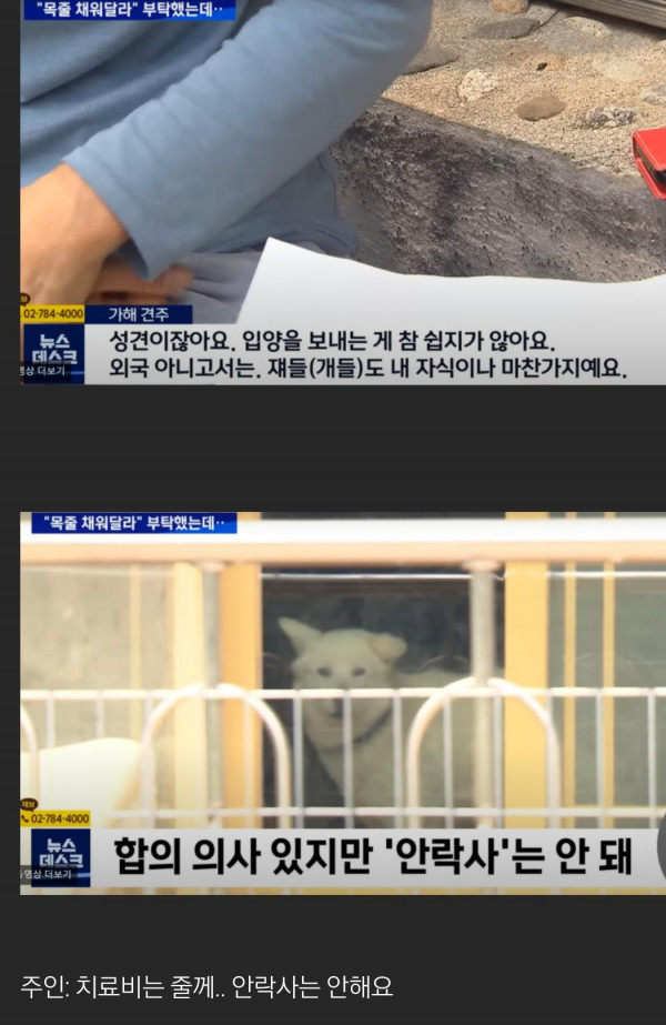 풍산개 다섯 마리에게 물려 중상입은 7세 여아