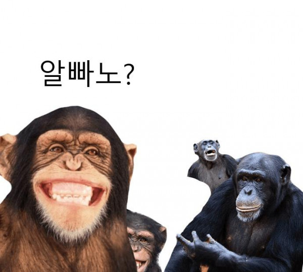 16강 진출 
