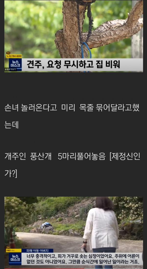 풍산개 다섯 마리에게 물려 중상입은 7세 여아
