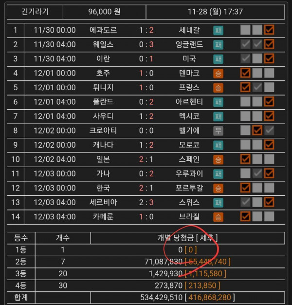 이번 월드컵 30억 날린 사람 ㄷㄷ