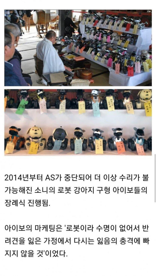 특이점은 온다 로봇강아지