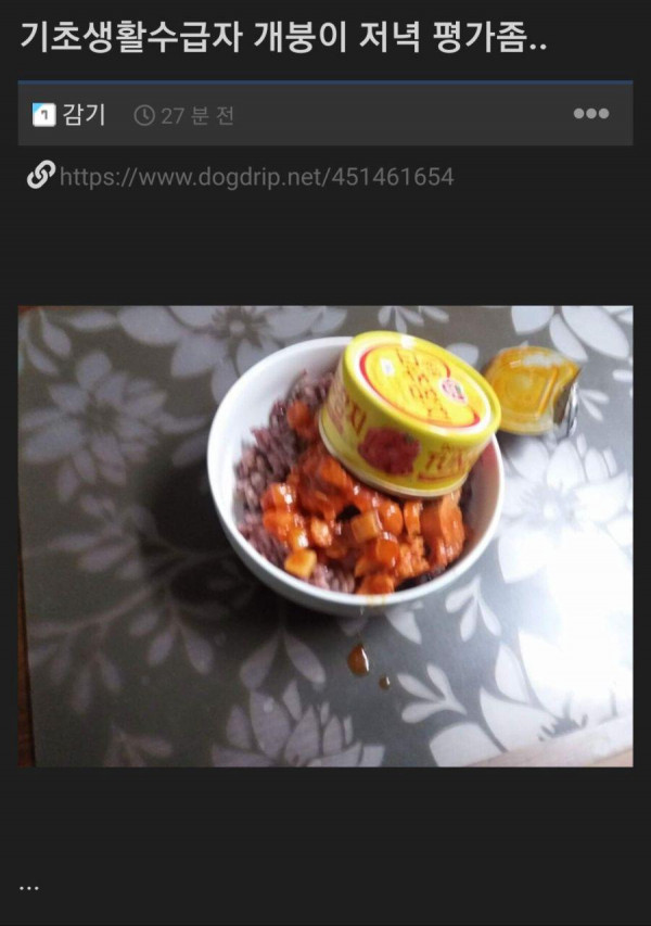 기초생활수급자 저녁 평가좀.