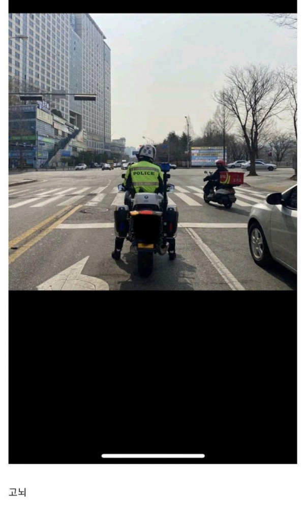 딸배 퓰리처상 수상시리즈 모음.....jpg