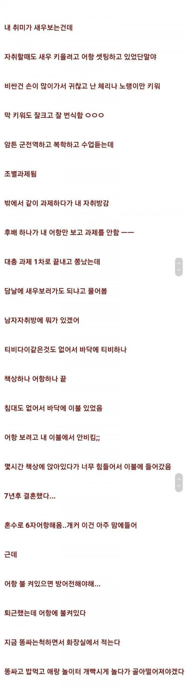 남자 자취방에 어항을 두면 위험한 이유
