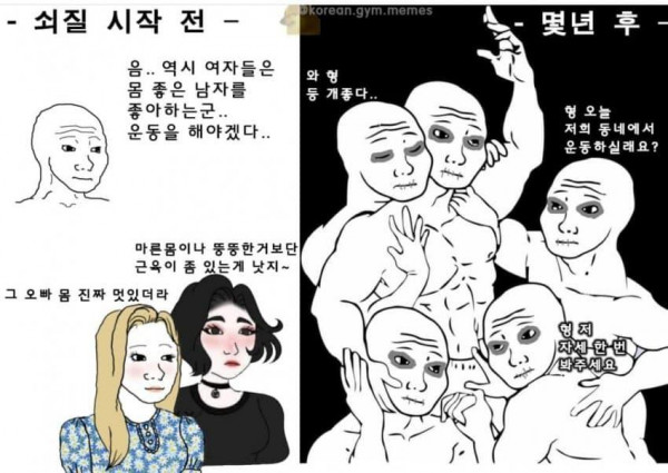 헬스 3년 정도 하면 깨닫는것.JPG