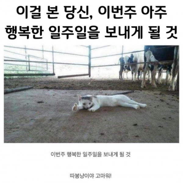요즘 여대생들 노출수준