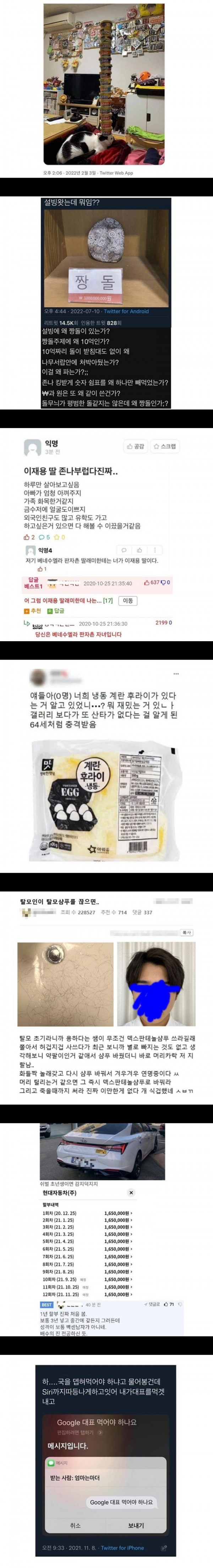 후보명 : 캣타워(펌)