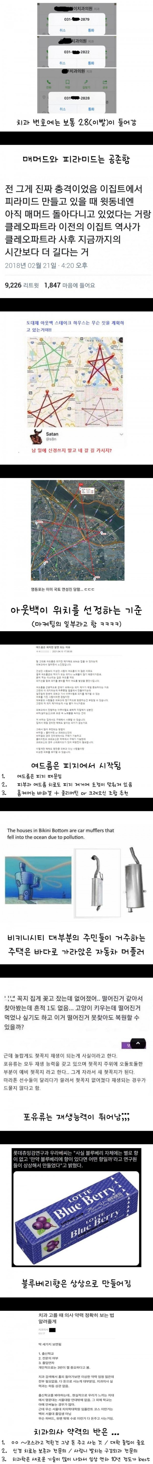 오늘 알게 된 신기한 사실들