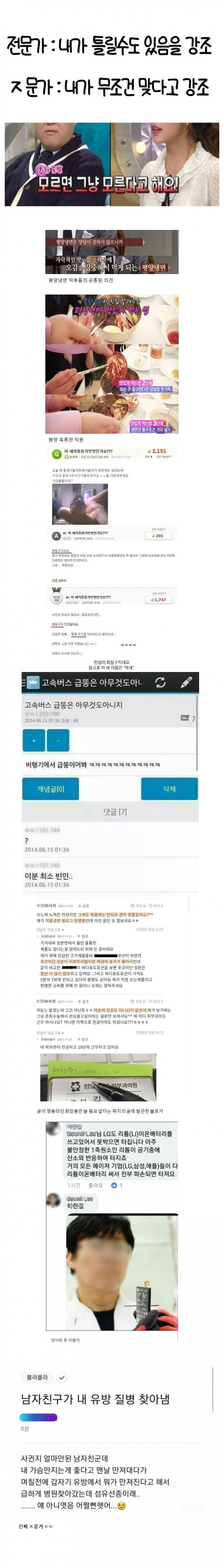 전문가 vs ㅈ문가