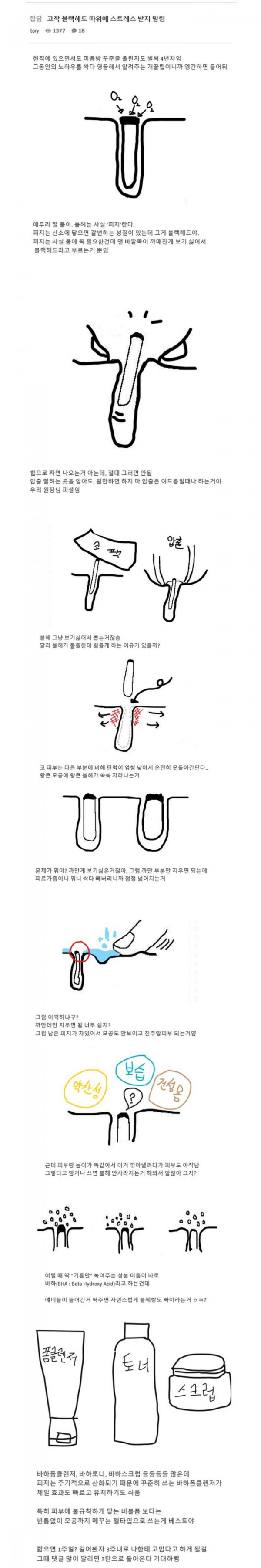 블랙헤드가 생기는 진짜 이유(펌)